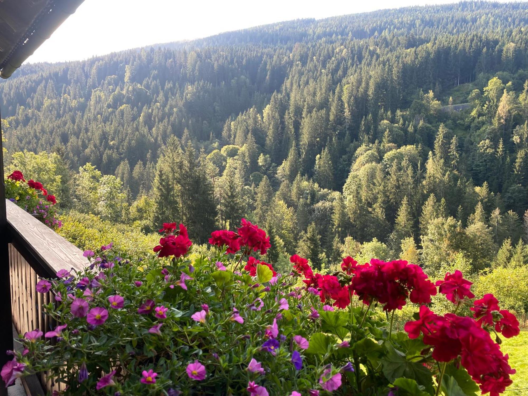 Gasthof Arriach Früstuck Pension Exterior foto